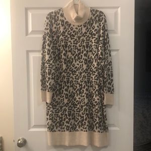 Loft sweater dress